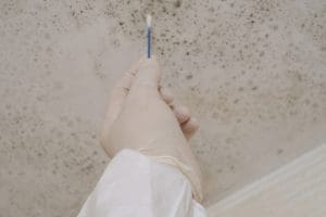 4 Reasons You Should Only Hire a Licensed Mold Inspector 4 Reasons You Should Only Hire a Licensed Mold Inspector